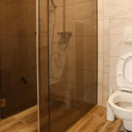 Апартаменты Golden View Сокобаня