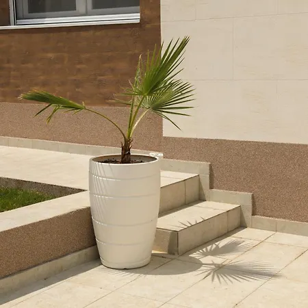 Golden View * Soko Banja