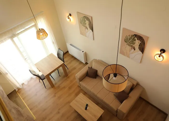 公寓 Golden View 索科矿泉村