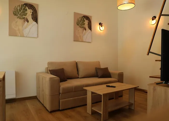 公寓 Golden View 索科矿泉村