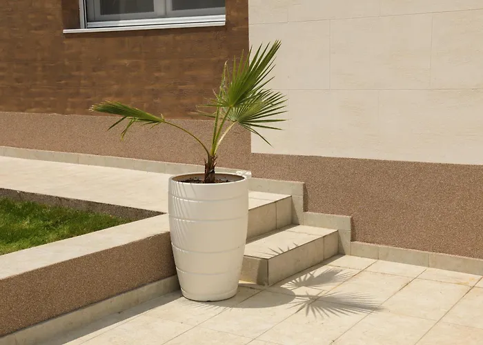 Golden View * ソコバニャ